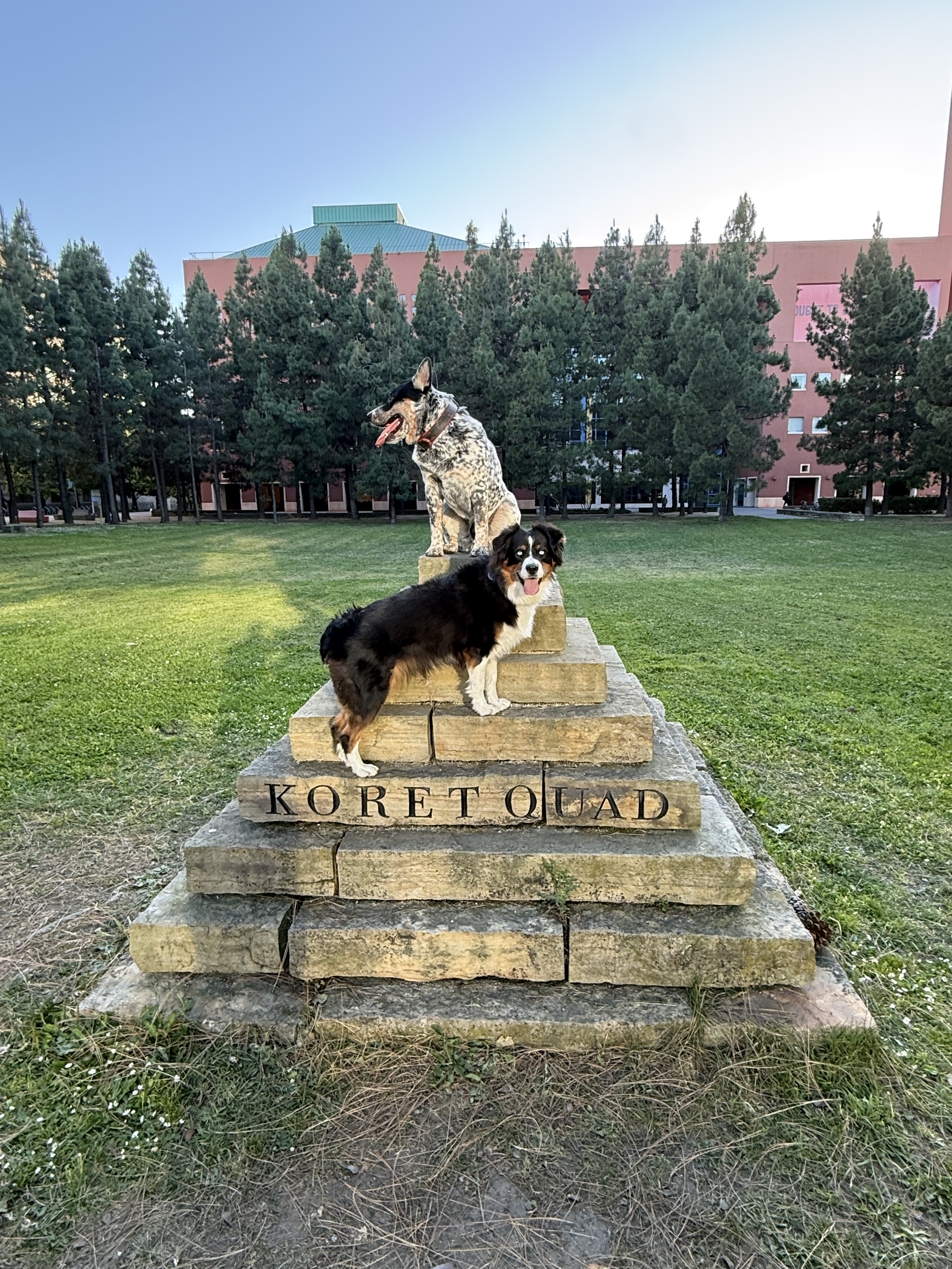 kaos and entropie at koret quad
